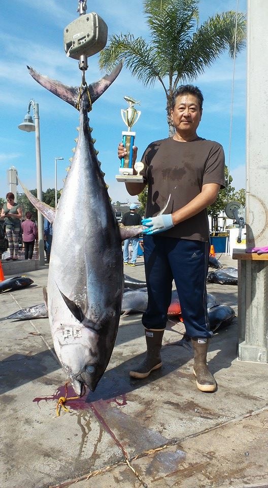 Early season Big Monster Bluefin Tuna - H & M Landing Bookings