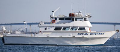 Ocean Odyssey Sport Fishing