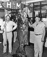 San Diego Sport Fishing History - H&M Landing Since 1935